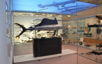 Národní muzeum - Poznejte fascinující svět živočišné říše na nové výstavě Archa Noemova! - obrázek