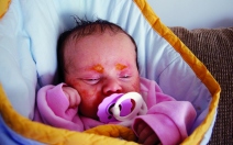 Novorozenecká kopřivka a potničky - obrázek